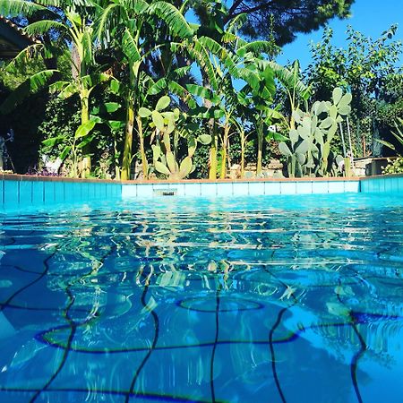 Oasi Del Gabbiano Bed & Breakfast Siraküza Dış mekan fotoğraf