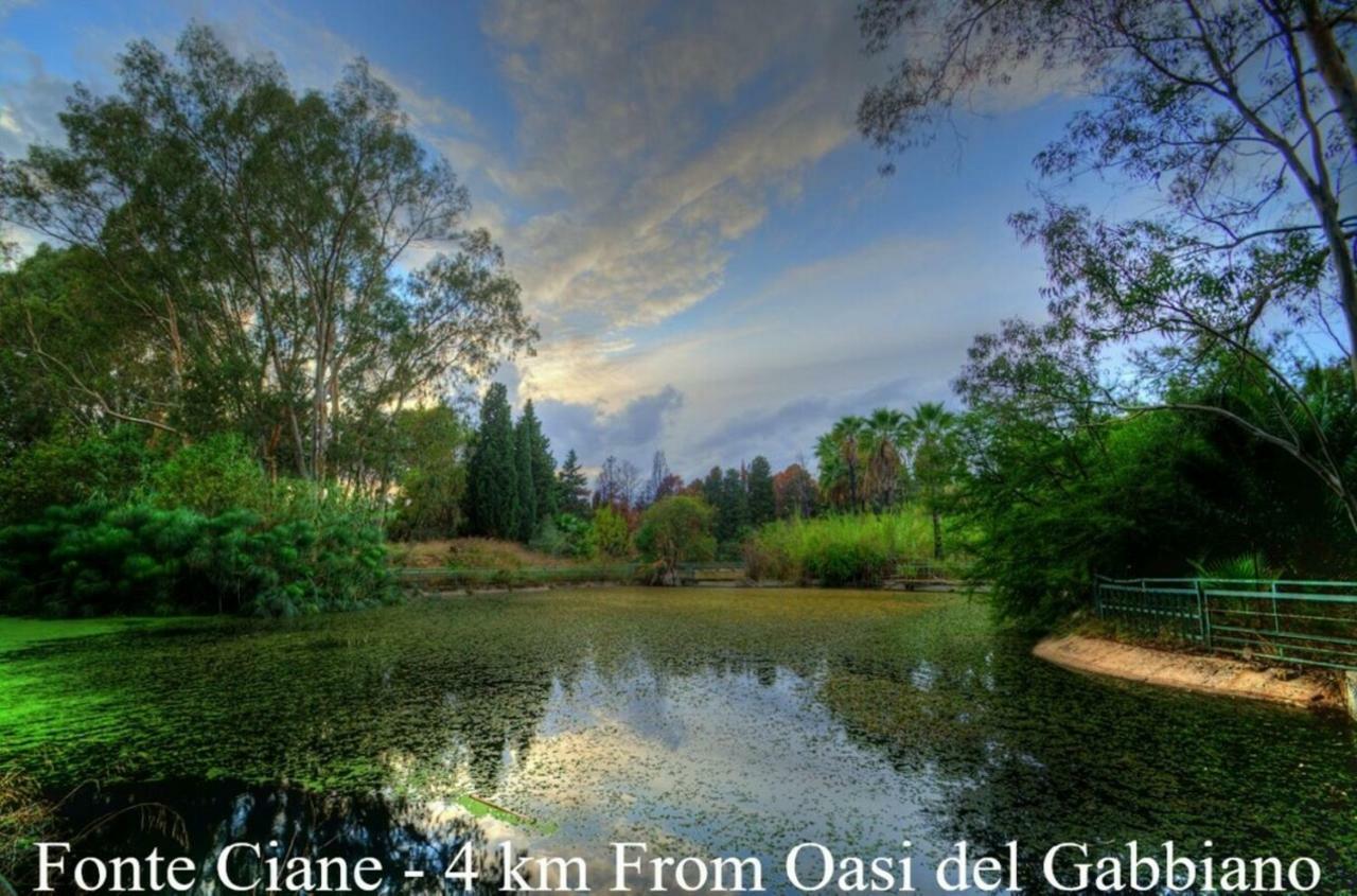 Oasi Del Gabbiano Bed & Breakfast Siraküza Dış mekan fotoğraf